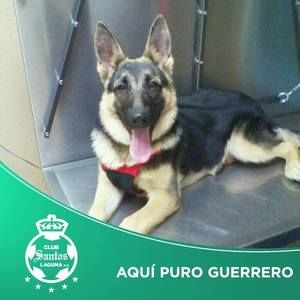 Meet your Posher, Antonio